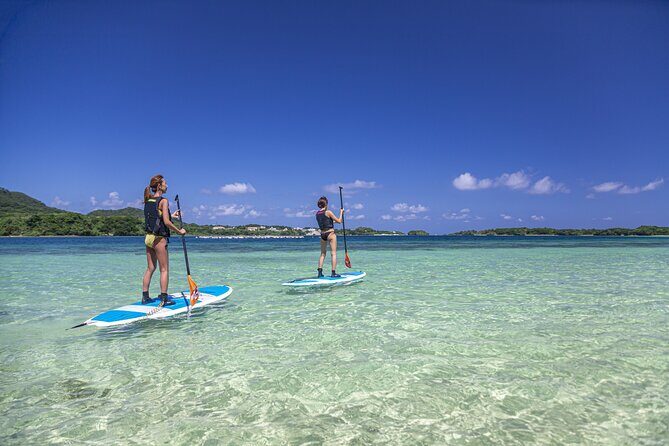 Okinawa Ishigaki Kabira Bay SUP or Canoe Tour - Who Should Consider This Tour?