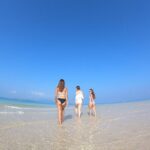 Okinawa Ishigaki Phantom Island Snorkeling Tour - Final Thoughts