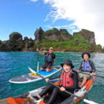 Okinawa: Kayak or SUP Tour to Hamahiga Island - Who Will Love This Tour?