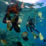 Okinawa : Kerama Whole Day Snorkeling Tour From Chatan/Naha - What You Can Expect in the Water