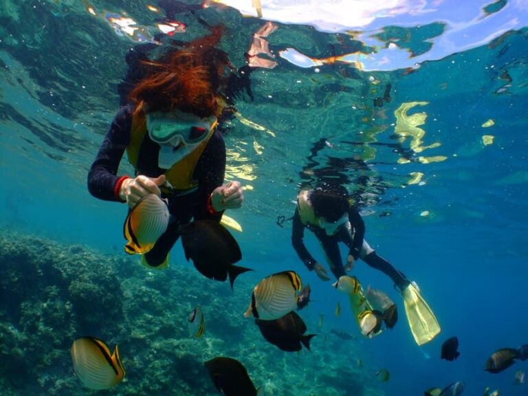 Okinawa : Kerama Whole Day Snorkeling Tour From Chatan/Naha - What You Can Expect in the Water