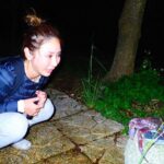 Okinawa Miyako Star gazing and subtropical jungle night tour - An In-Depth Look at the Miyako Miyako Star Gazing and Jungle Night Tour