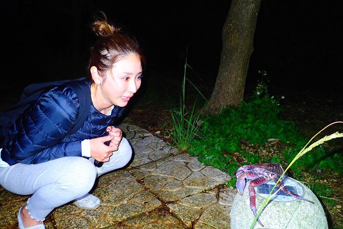 Okinawa Miyako Star gazing and subtropical jungle night tour - An In-Depth Look at the Miyako Miyako Star Gazing and Jungle Night Tour