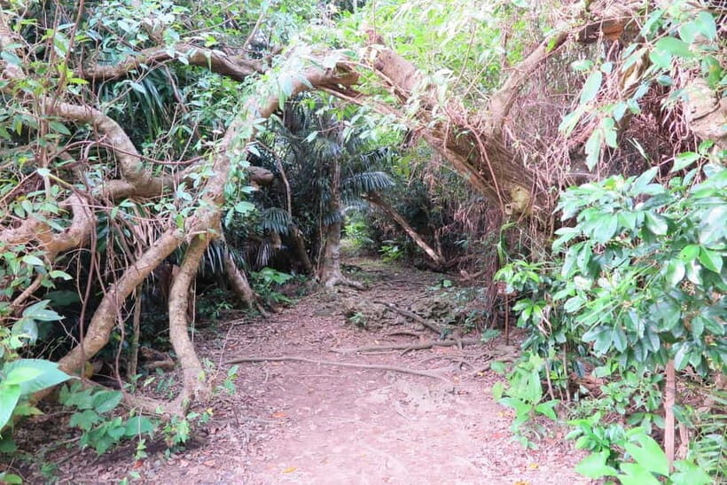 Okinawa: Sacred Island Tour to Kudakas Ryukyuan Holy Sites - What Makes This Tour Valuable?