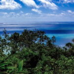 Okinawa: Sacred Sefa Utaki Walk into Ryukyus Spiritual - Who Should Consider This Tour?