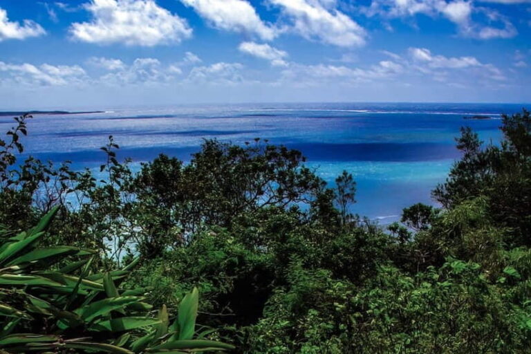 Okinawa: Sacred Sefa Utaki Walk into Ryukyus Spiritual - Who Should Consider This Tour?