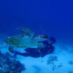 Okinawa Scuba Diving For Certified Divers (3 boat dives + Lunch) - Who Should Consider This Tour?