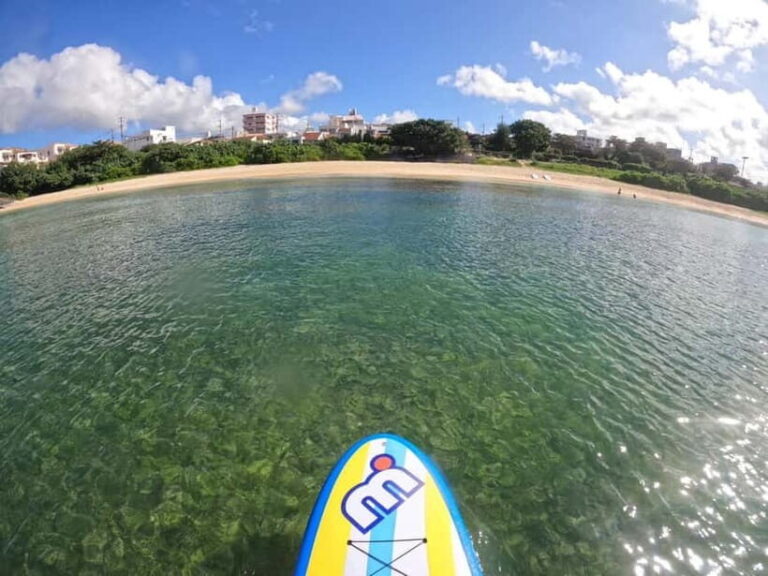 Okinawa: West Coast Stand-Up Paddleboarding Experience - What’s Included and What to Bring