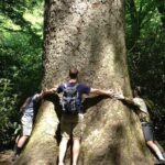 Old Growth Forest Cascade - Frequently Asked Questions