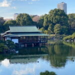 Old Tokyo History Coffee Gardens and Traditional Street Food - The Practical Side: What to Expect