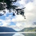 Olympic National Park Full-Day Tour W/ Scenic State Ferries - Who Will Love This Tour?