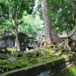 One day normal Angkor tour - The Value of Guided Tours at Angkor