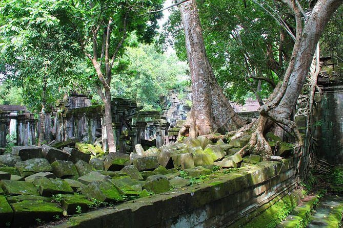 One day normal Angkor tour - The Value of Guided Tours at Angkor