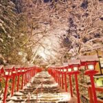 One Day Private Customized Self-Guided Tour in Kyoto - The Itinerary: How Flexibility Enhances Your Experience