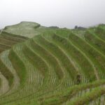 One Day Private Longji Rice Terraces with Minority village tour - Who Will Love This Tour?