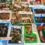 One day Private Sapporo Highlights Tour - Exploring Sapporo in One Day