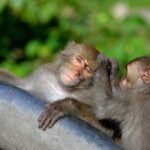 One-Day Private Tour in Hualien-Taroko National Park Included - Who Should Consider This Tour?