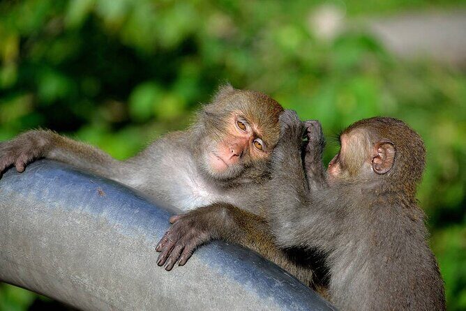 One-Day Private Tour in Hualien-Taroko National Park Included - Who Should Consider This Tour?