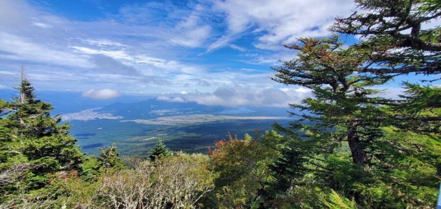 One Day Private Tour of Mount Fuji - What’s the Value?