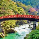 One Day Private Tour to Nikko With English Speaking Driver - Practical Aspects: What You Can Expect