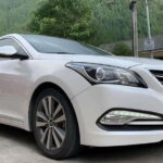 One-day private transfer service to Leshan from Chengdu - Overview and Practical Details