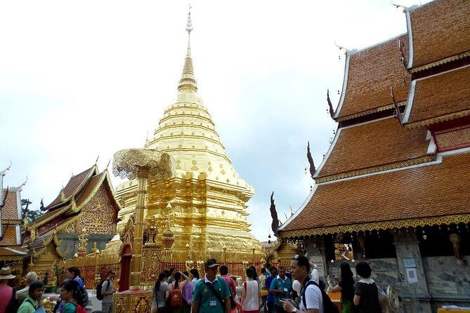 One Day Tour Doi Suthep Temple, Palad Temple, Orchid Farm, Longneck hill tribe village (Private tour) - The Value of a Private Guided Tour