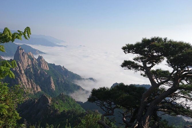 One-Day Tour for stunning Mt.Seoraksan from Seoul - The Itinerary in Detail: What to Expect