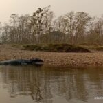 One Day Tour inside Chitwan National Park - Practical Tips and Considerations
