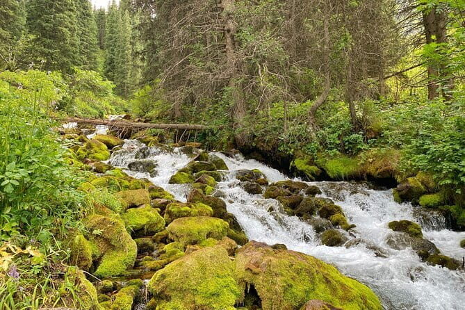 One Day Tour of the Magical Lake of Kol Tor - Authentic Insights from Travelers