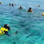 One Day Tour Pink Beach East Lombok Excursion - FAQ