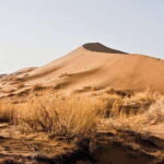 One Day Tour to Altyn-Emel: Singing Dune and Aktau Mountain - Practical Information and Tips