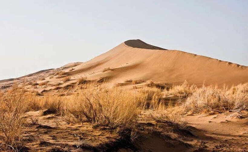 One Day Tour to Altyn-Emel: Singing Dune and Aktau Mountain - Practical Information and Tips