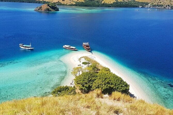 One Day Tours Komodo - Padar Island - Komodo Island: Wildlife in the Wild
