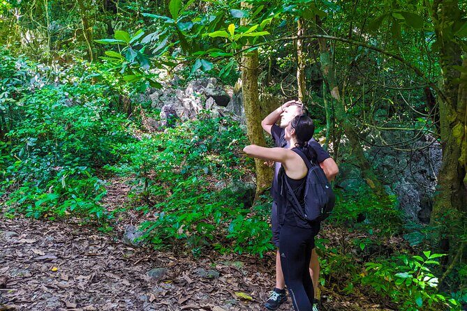 One Day Trekking Cat Ba National Park - The Sum Up