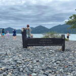 One Day Trip Join Snorkeling Program A(5spots) - The Overall Experience: Who Will Love It?