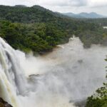 One day trip to Athirapally waterfall and Cherai beach to Kochi. - FAQ