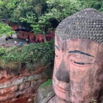 One Day Trip to Chengdu Panda Base and Leshan Buddha Tour - In-Depth Look at the Tour Experience