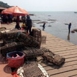 One Day Trip to Pepper Farm, Chhngok Temple and Salt Field - Starting from Phnom Penh: Comfort and Convenience