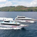 One-way Ticket Fast Boat from Sanur Bali or Nusa Lembongan - What Travelers Say: Authentic Experiences and Praises