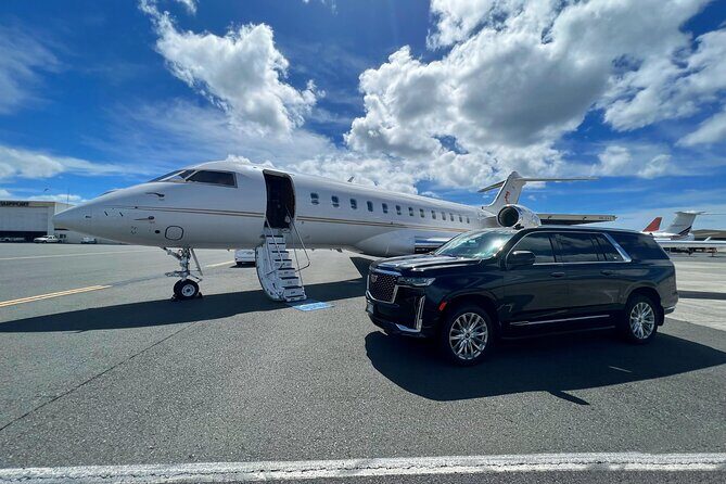 One-Way VIP Transfer: Honolulu Airport, Ko Olina, Cruise Port - Who Should Consider This Service?