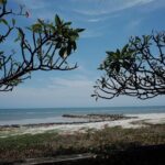 oneway transfer service Bangkok-Hua hin - Frequently Asked Questions