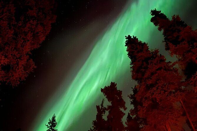 Open Fire Aurora Viewing and Snowshoeing Adventure in Whitehorse - Who Should Consider This Tour?