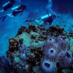 Open Water Course - Become certified diver in 3 days - Authentic Experiences from Fellow Travelers