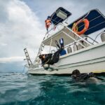 Open Water Course Cozumel - Detailed Breakdown of the Course Experience