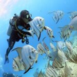 Open Water Diver 2-Day PADI Course in Playa del Carmen - Who Should Consider This Course?