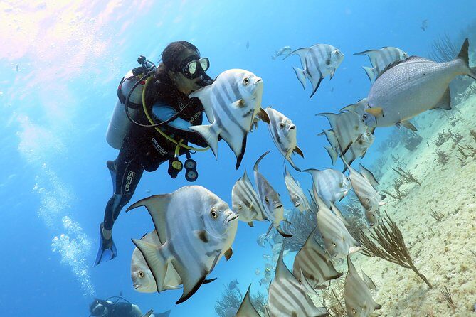 Open Water Diver 2-Day PADI Course in Playa del Carmen - Who Should Consider This Course?