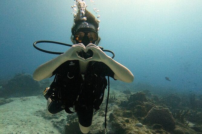 Open Water Diver Course - Who Should Consider This Course?