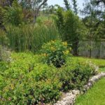 Openwork butterfly garden - Who Should Visit This Butterfly Garden?