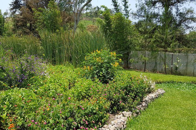 Openwork butterfly garden - Who Should Visit This Butterfly Garden?