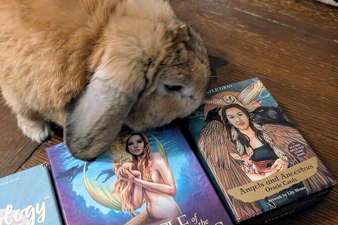 Oracle of St. Augustine, Messages from the Universe. - The Experience in Practice: What Past Travelers Say